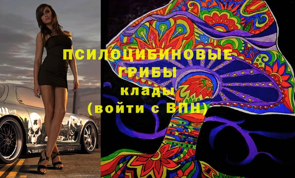 молекула духа Алзамай